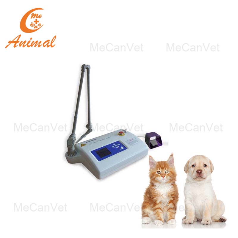 Pet Surgical CO2 Laser Machine